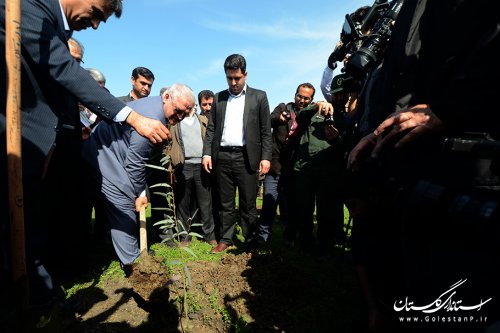 باید شمال استان را به محیطی سبز تبدیل کنیم