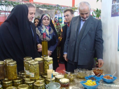 نمایشگاه زن، تلاش و توسعه در گلستان افتتاح شد