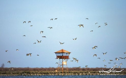 شبه جزیره میانکاله