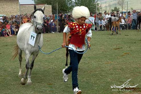 جشنواره اسب اصیل ترکمن در روستای صوفیان کلاله برگزار شد