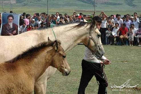 جشنواره اسب اصیل ترکمن در روستای صوفیان کلاله برگزار شد