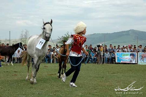 جشنواره اسب اصیل ترکمن در روستای صوفیان کلاله برگزار شد