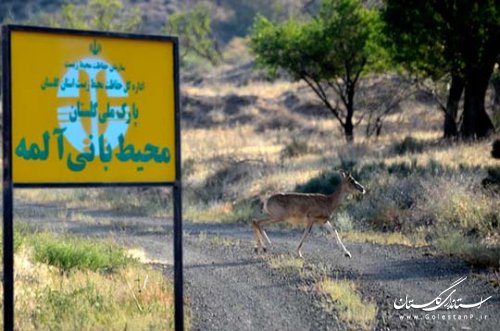 بازدید استاندار گلستان از اداره کل محیط زیست استان و دیدار با کارکنان