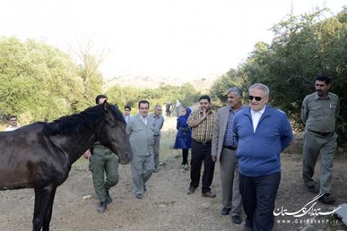 بازدید استاندار گلستان از اداره کل محیط زیست استان و دیدار با کارکنان