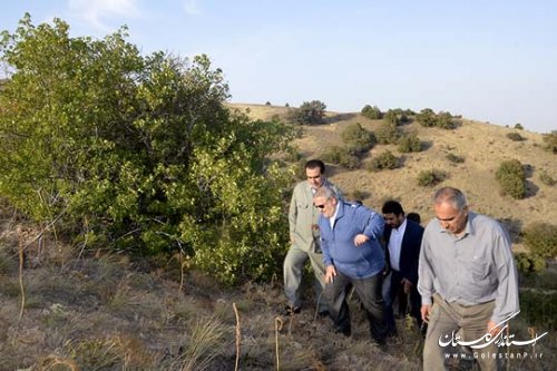 بازدید استاندار گلستان از اداره کل محیط زیست استان و دیدار با کارکنان