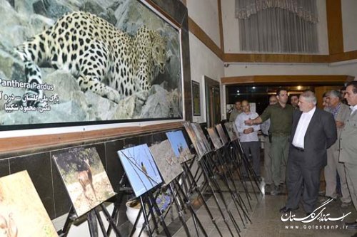 بازدید استاندار گلستان از اداره کل محیط زیست استان و دیدار با کارکنان