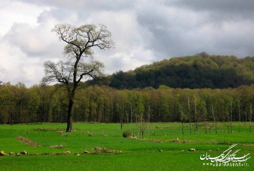 جاذبه های میراث فرهنگی و طبیعی شهرستان گرگان