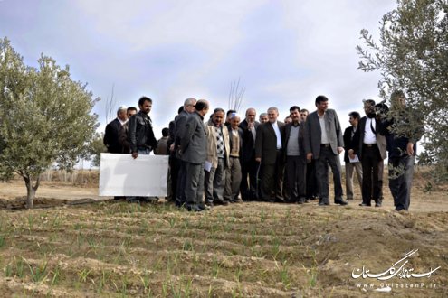 استاندار گلستان بر استفاده از ظرفيت اشتغالزايي در جهاد كشاورزي تأكيد كرد