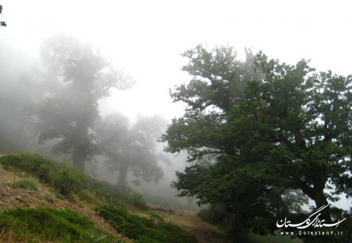 تل انبار، روستای چهارباغ، گرگان