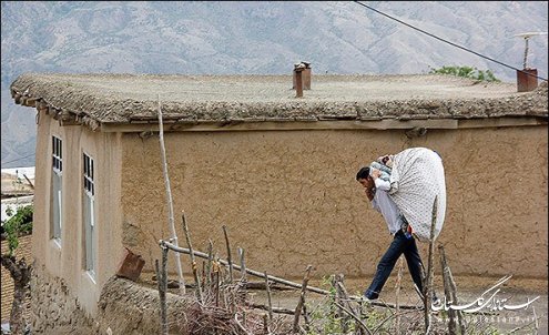 عملیات اسکان موقت روستای نرگس چال در اسرع وقت انجام شود