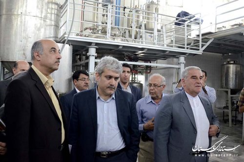 بازدید استاندار و معاون رئیس جمهور از شرکت دانش بنیان تولید کننده داروهای گیاهی