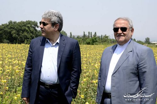بازدید استاندار و معاون رئیس جمهور از شرکت دانش بنیان تولید کننده داروهای گیاهی