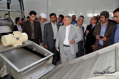 با حضور استاندار گلستان کارخانه بسته بندی میوه و تره بار در بندرگز افتتاح شد