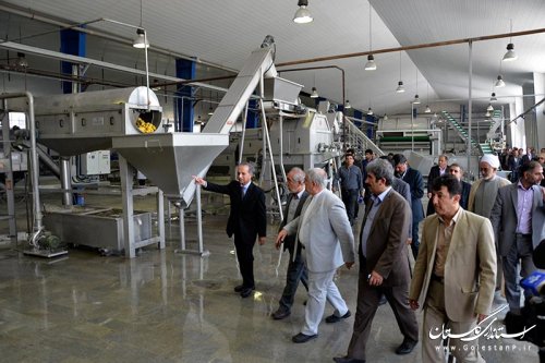 با حضور استاندار گلستان کارخانه بسته بندی میوه و تره بار در بندرگز افتتاح شد