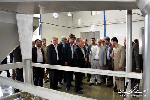 با حضور استاندار گلستان کارخانه بسته بندی میوه و تره بار در بندرگز افتتاح شد