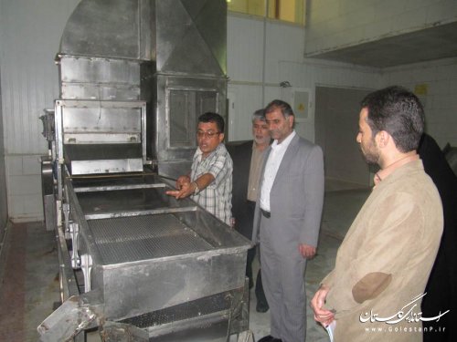فرماندار بندرگز از واحد صنعتی مه در کاسپین بازدید کرد