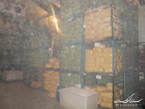 فرماندار بندرگز از واحد صنعتی مه در کاسپین بازدید کرد