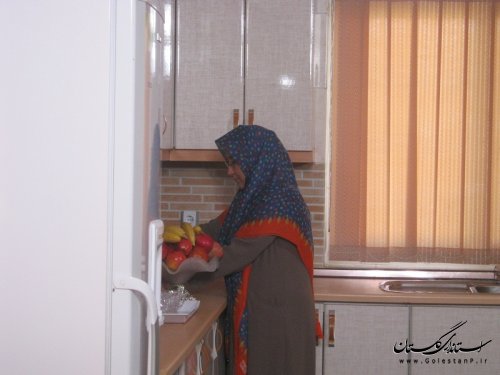 تصاویری از فرماندار شهرستان ترکمن در محل کار و کنار خانواده