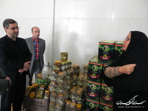 فرآوری سالانه 100 تن زیتون در یک کارگاه کوچک در مینودشت