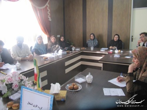 برگزاری دومین جلسه گروه کاری اشتغال بانوان شهرستان گمیشان