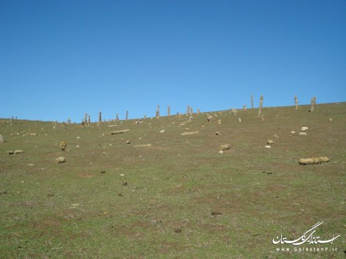 با مجموعه زیارتی گردشگری خالدنبی کلاله بیشتر آشنا شویم