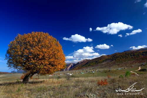 پاییز هزار رنگ گلستان از نگاه دوربین داود عامری