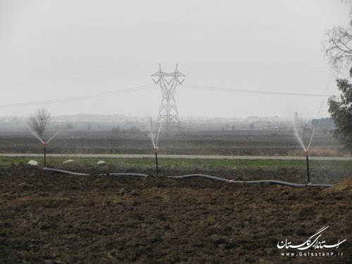 کمک بلاعوض دولت به کشاورزانی که از آبیاری قطره ای و تحت فشار استفاده کنند