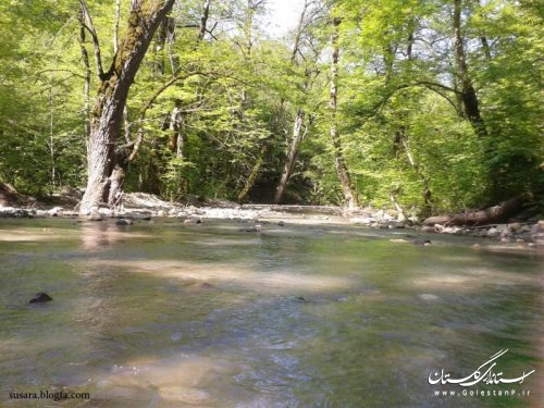 زیبایی های طبیعت روستای سوسرا