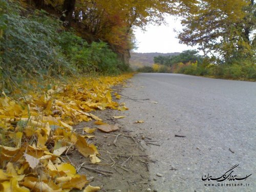 زیبایی های طبیعت روستای سوسرا