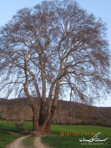 طبیعت کم نظیر روستای سایر