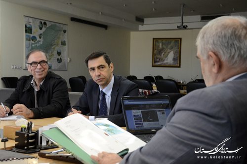 گلستان آمادگی تبدیل شدن به پایلوت تولید زیتون کشور را دارد