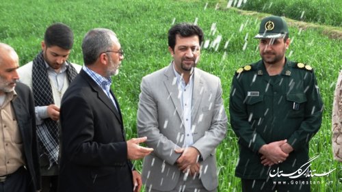 با حضور معاون فرماندار کردکوی یک واحد پرورش ماهی قزل آلا به بهره برداری رسید