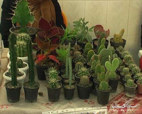 افتتاح نمایشگاه توانمندی های بانوان در گنبد کاووس
