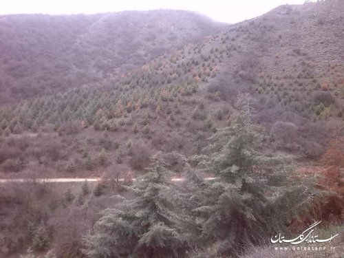 معرفی جاذبه های گردشگری روستای گوگ دره