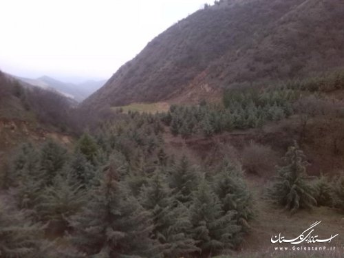 معرفی جاذبه های گردشگری روستای گوگ دره