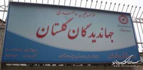 بازدید معاون استاندار از مؤسسه خیریه سالمندی جهاندیدگان گرگان