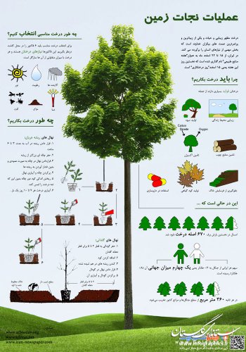 سنت حسنه درختکاری باید در کلاله فرهنگ شود