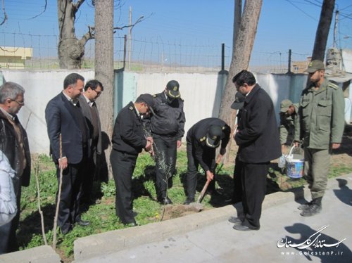 کاشت چند اصله نهال توسط فرماندار مراوه تپه در هفته منابع طبیعی