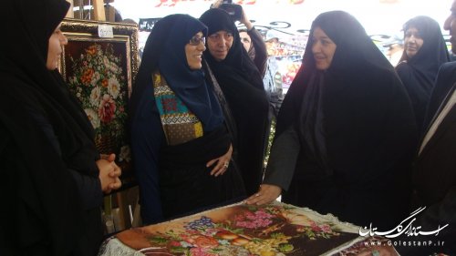 فعالیت کمیته امداد گلستان در حوزه زنان و خانواده قابل تقدیر است
