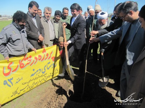 مراتع روستای دهنه کلاله درختکاری شد
