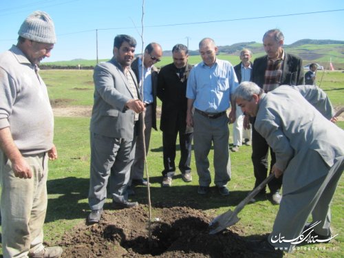 مراتع روستای دهنه کلاله درختکاری شد