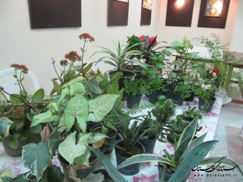 افتتاح نمایشگاه توانمندیهای بانوان شهرستان رامیان