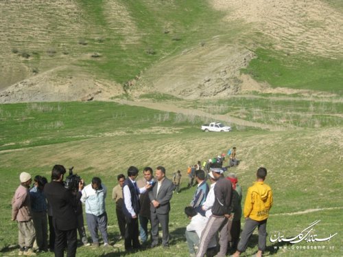 بازدید فرماندار مراوه تپه از طرح مبارزه با ملخ