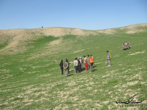 بازدید فرماندار مراوه تپه از طرح مبارزه با ملخ