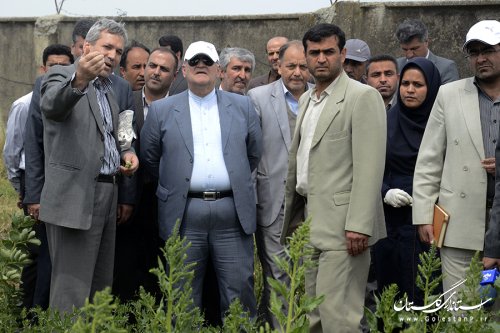 بازدید استاندار از طرح کشاورزی "انتخاب مشارکتی ارقام گندم آبی استان" در کردکوی