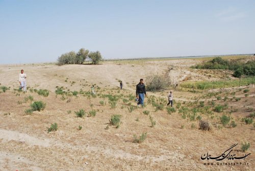 طرح اتلاف جوندگان موذی درروستای مرزی تنگلی اجرا شد