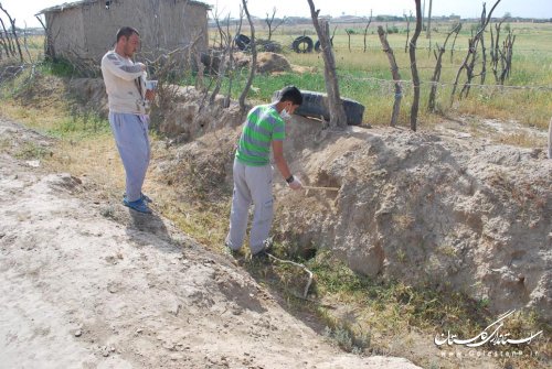طرح اتلاف جوندگان موذی درروستای مرزی تنگلی اجرا شد