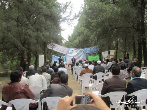 شوراها رکنی تاثیر گذار در روستاها هستند