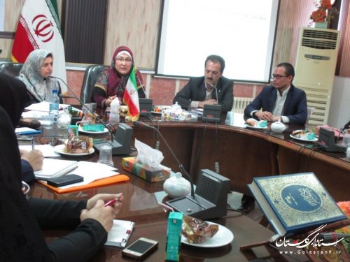 نشست مجمع مشورتی بانوان عضو شورای اسلامی شهر های استان گلستان برگزار شد