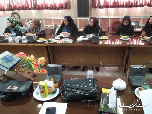 نشست مجمع مشورتی بانوان عضو شورای اسلامی شهر های استان گلستان برگزار شد